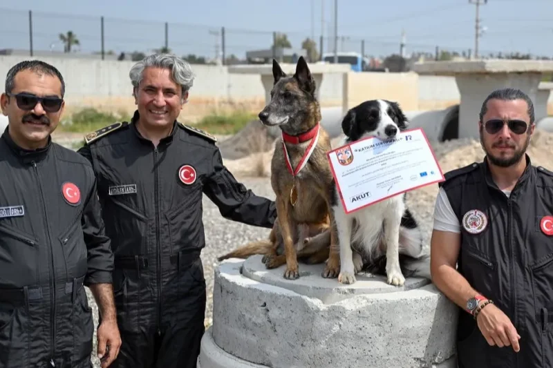 Ares ve Rex, uluslararası sınavda zirvede