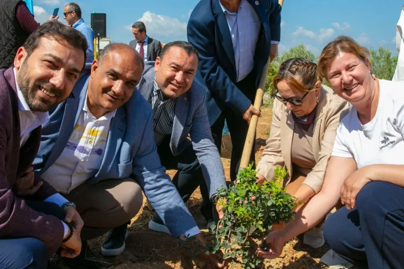 İzmir Güzelbahçe’de sakız ağaçları büyüyecek