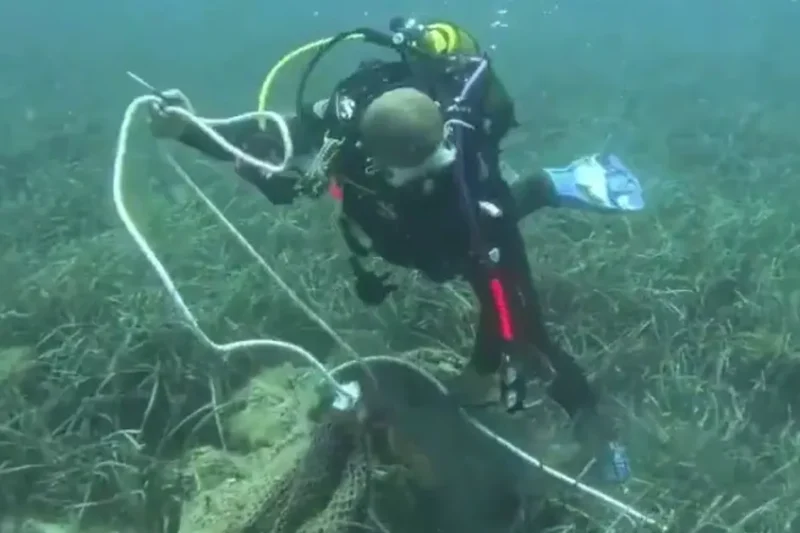 İzmir’de deniz dibinden 1,5 ton ağ çıkarıldı!