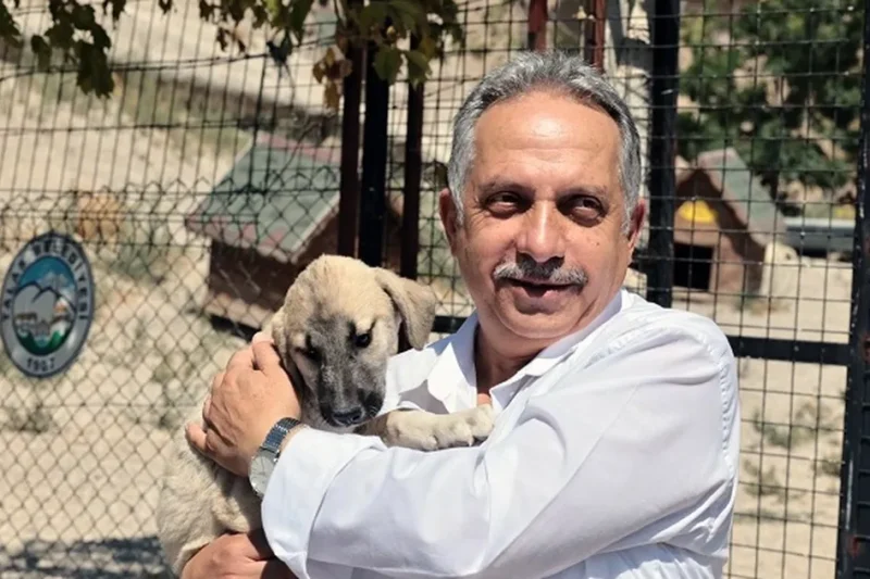 Kayseri Talas Pati Evi can dostlara yuva oluyor