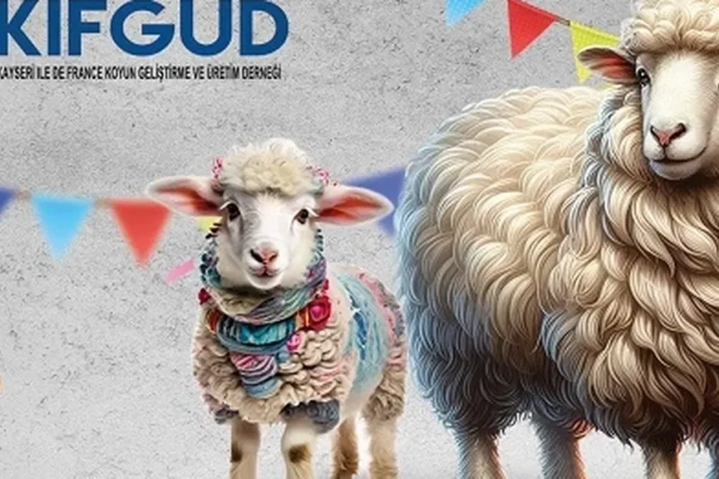 Kayseri Talas’ta France ırkına özel festival