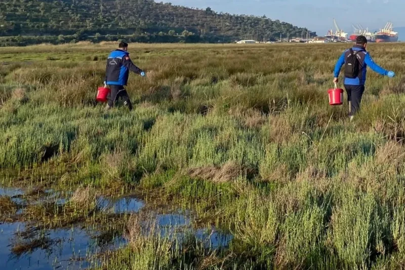 Muğla Büyükşehir’den Güllük’te 60 hektarda ilaçlama
