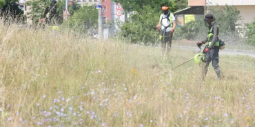 Kocaeli Çayırova'da boş arazilerdeki otlar biçiliyor