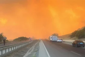 Bursa Yenişehir'de orman yangınına yoğun müdahale