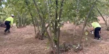 Düzce'de 81 yaşındaki kayıp kadın aranıyor