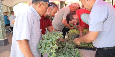 İzmit’te başlayan fide desteği, Gebze köylerine ulaştı