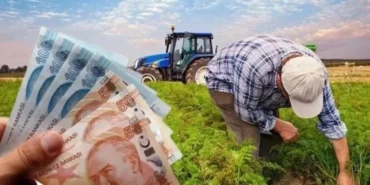 Çiftçiye 471 milyon TL destek hesaplarda